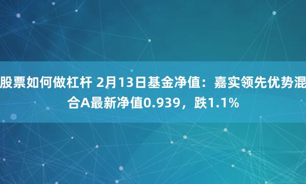 股票如何做杠杆 2月13日基金净值：嘉实领先优势混合A最新净值0.939，跌1.1%