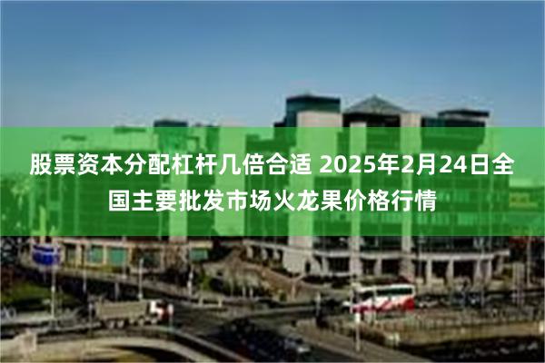 股票资本分配杠杆几倍合适 2025年2月24日全国主要批发市场火龙果价格行情