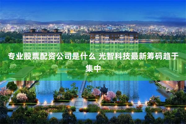 专业股票配资公司是什么 光智科技最新筹码趋于集中