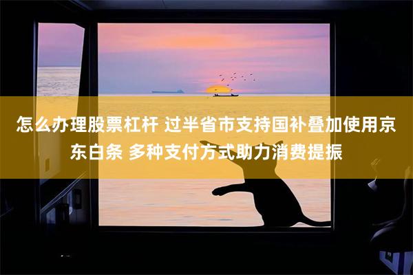 怎么办理股票杠杆 过半省市支持国补叠加使用京东白条 多种支付方式助力消费提振