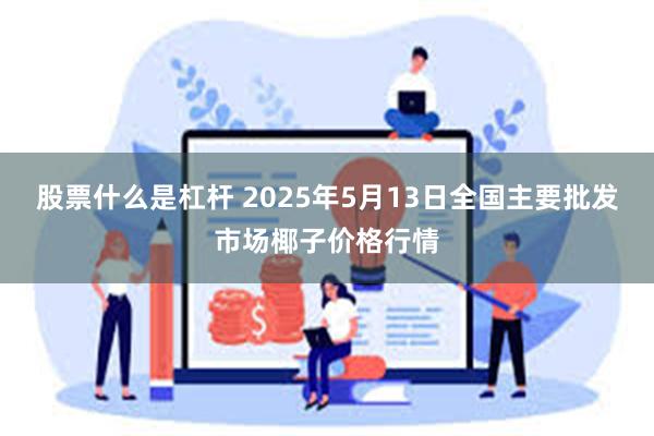 股票什么是杠杆 2025年5月13日全国主要批发市场椰子价格行情