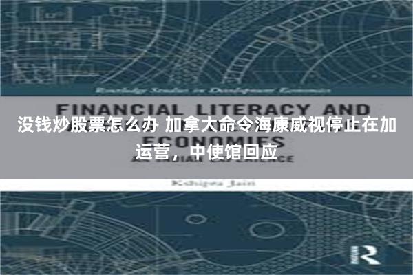 没钱炒股票怎么办 加拿大命令海康威视停止在加运营，中使馆回应